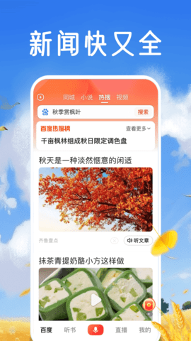 百度大字版 2.46.0.11 免费版 3