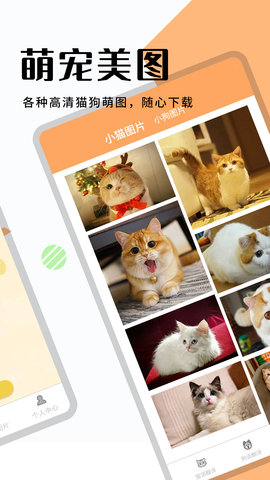 猫狗翻译器 1.6.6  3