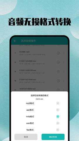 格式转换大师 35  2