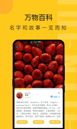 拍照识物 1.1.5  3