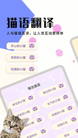 猫狗翻译器 1.6.6  1