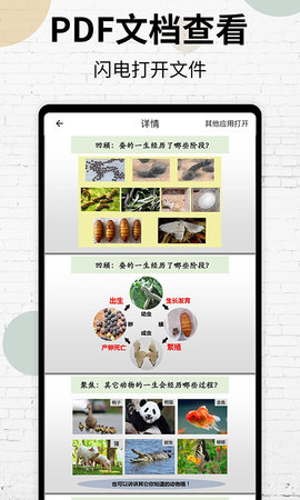PDF阅读器 17  2