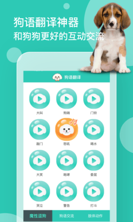 狗语翻译 1.3.1  1