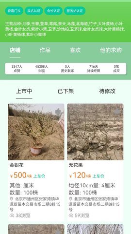 苗木人 6.3.4 官方版 3