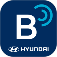 Bluelink 4.08 
