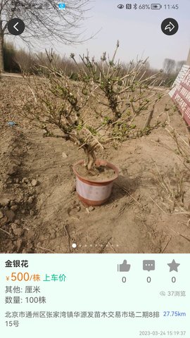 苗木人 6.3.4 官方版 1