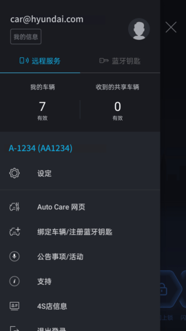 Bluelink 4.08  2