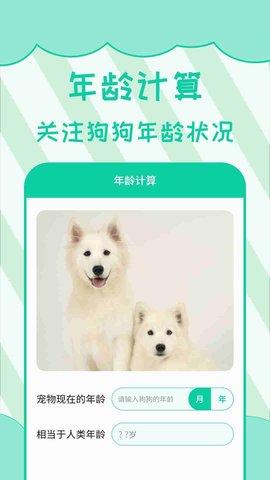人狗翻译 5.9.4  3