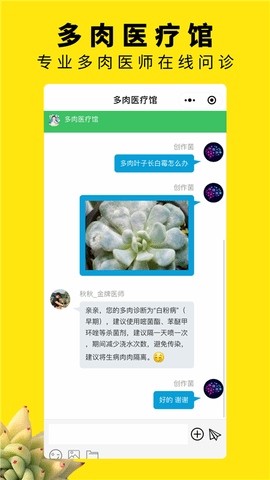多肉圈 4.0  2
