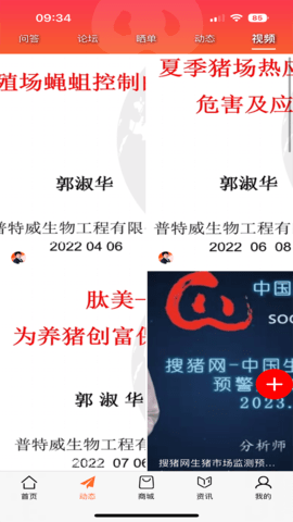 金猪 1.3.11  2