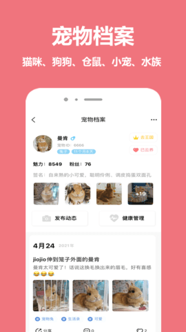 宠物王国 5.0.1  1