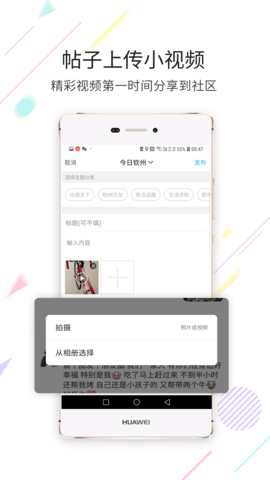 白话猫 4.1.26  1