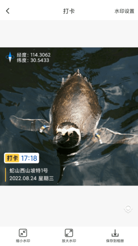 打卡定位 1.62.06070715  1