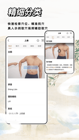 中医经络穴位标准指南 1.8  2