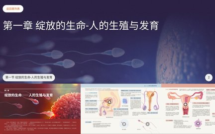 人体 1.0.1 最新版 1