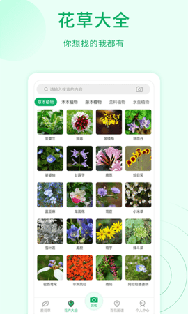 花草识别 1.1.8  3