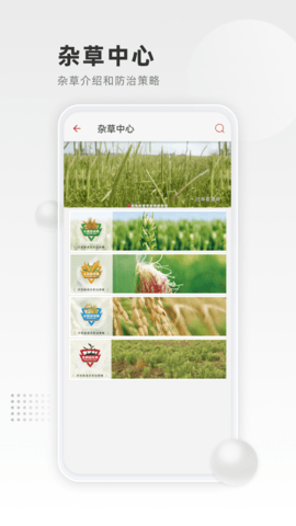 清原农冠 4.0.5 官方版 1