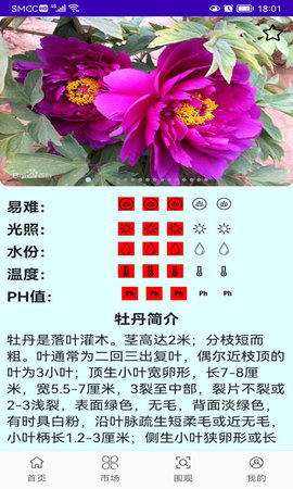 绿植花卉 0.1.7  4