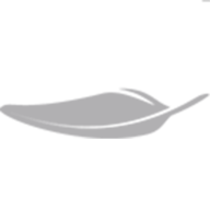 轻健身