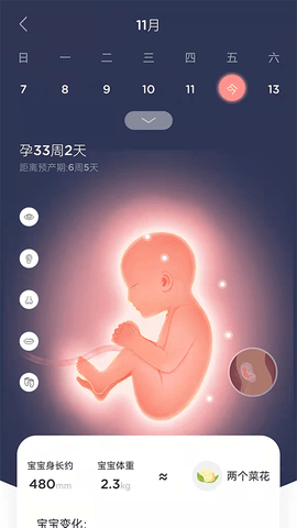 LifeOfmom 3.0.9 最新版 3