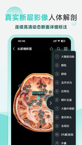 掌上3D解剖 2.8.4 官方版 3