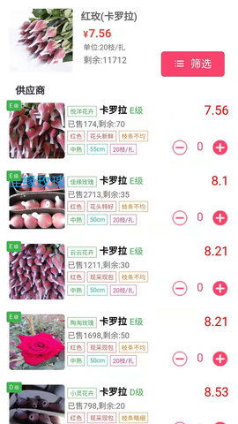 嘉佳花卉鲜花批发一件代发 101.0.1  2