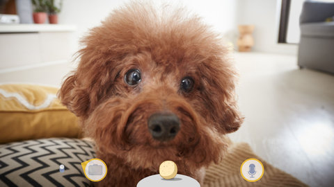 Furbo 6.61.0 最新版 2