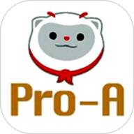 ProATech V3.41.001.002 