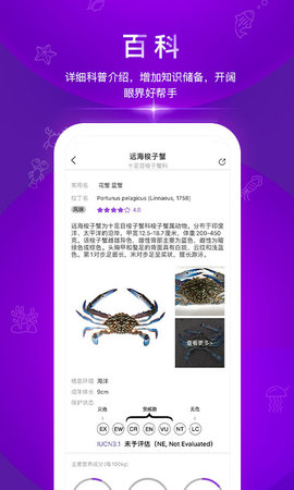 问鱼 2.0.2  1