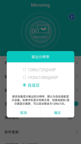 Mirroring 1.1.14428  3