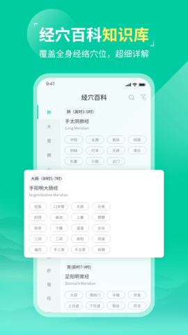 中医针灸 1.1 手机版 2