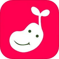 萌豆