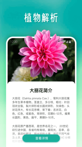 植物大师 1.0.2 官方版 2