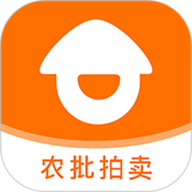 道农拍