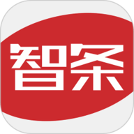 智条
