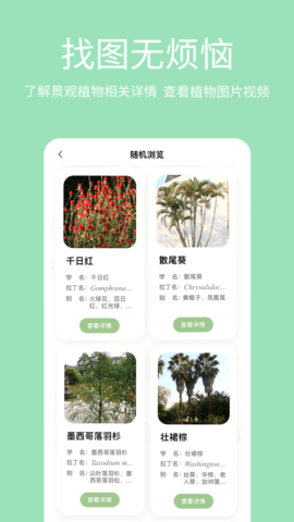 绿图 1.0.12  1