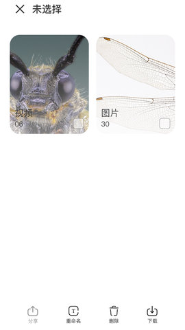 阿蛋科学探索 1.2  2
