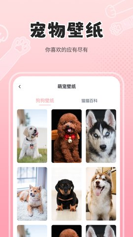 人狗猫交流器 2.7 安卓版 1