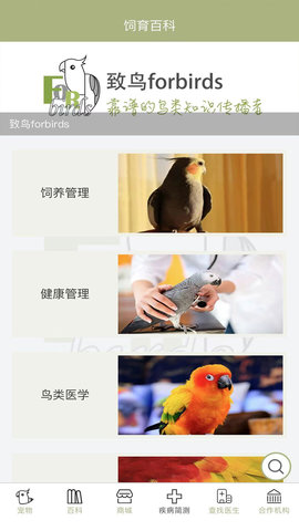 致鸟forbirds 1.1.6  2