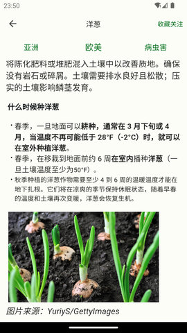鱼菜记 2.0.3  2