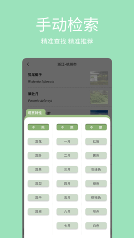 绿图 1.0.12  2