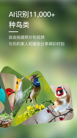 BirdLover 2.0.0 安卓版 4
