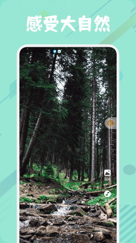 MusicFree 1.13 最新版 3