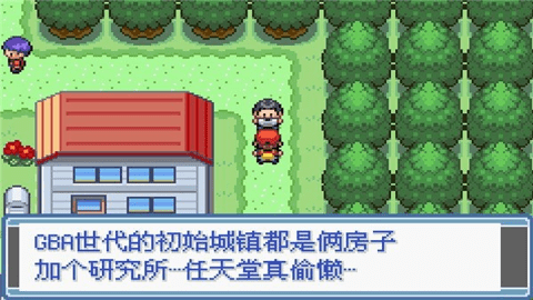 口袋妖怪永恒之炎zero v1.0 官方版 1