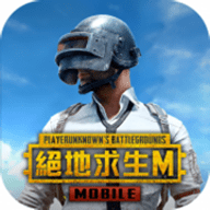 pubg台服