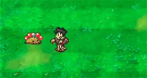 窝草模拟器 1.0.4  2
