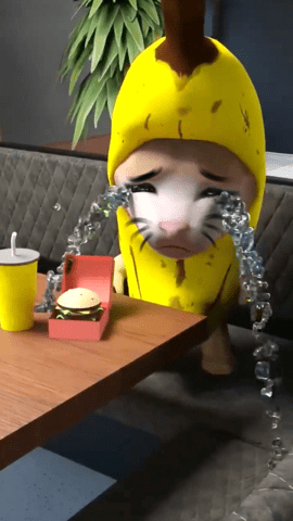香蕉猫大作战 1.0  3