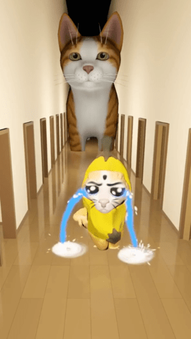 香蕉猫大作战 1.0  1