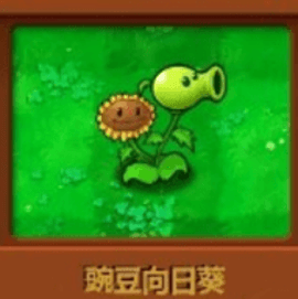 植物大战僵尸杂交版1.2