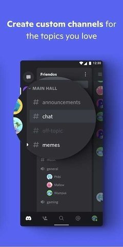 Discord 266.13 最新版 3